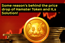 Hamster Token (HMSTR) 价格暴跌：不公平分配、获利回吐和社交媒体压力